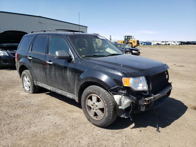 Ford Escape xlt (2010)