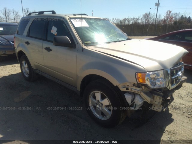 Ford Escape (2011)