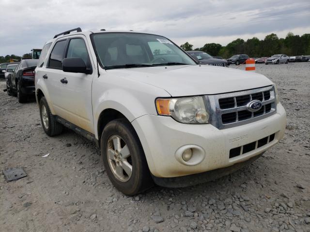 Ford Escape xlt (2011)