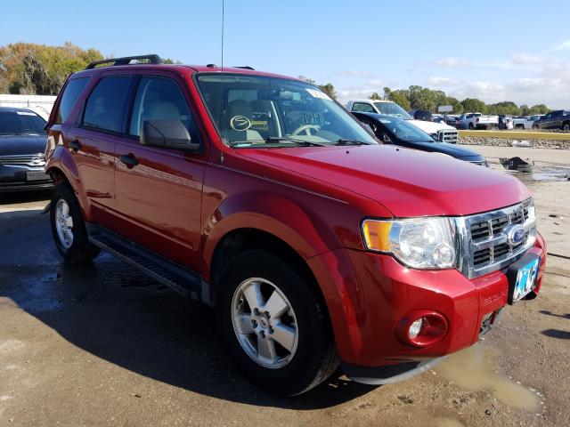 Ford Escape xlt (2011)