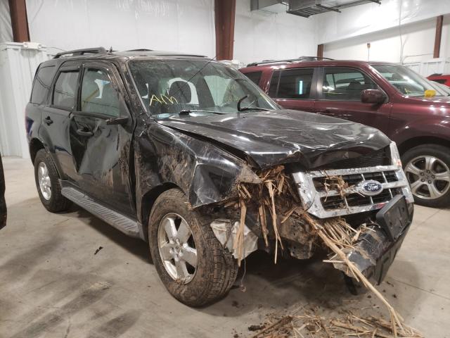 Ford Escape xlt (2011)