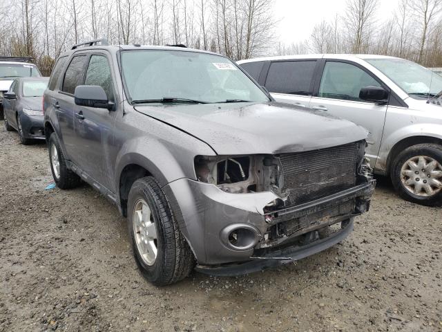 Ford Escape xlt (2011)