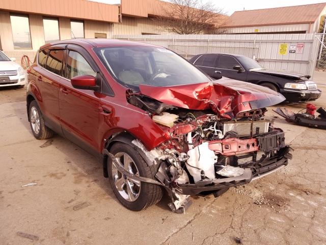 Ford Escape se (2014)