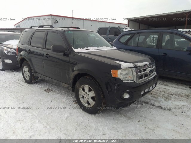 Ford Escape (2010)