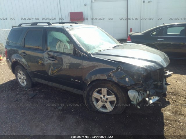 Ford Escape (2010)