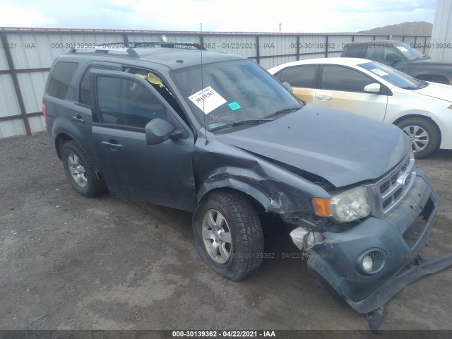 Ford Escape (2010)