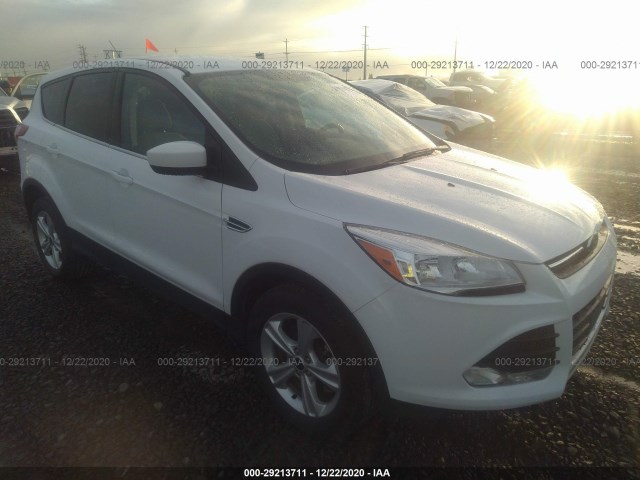 Ford Escape (2014)