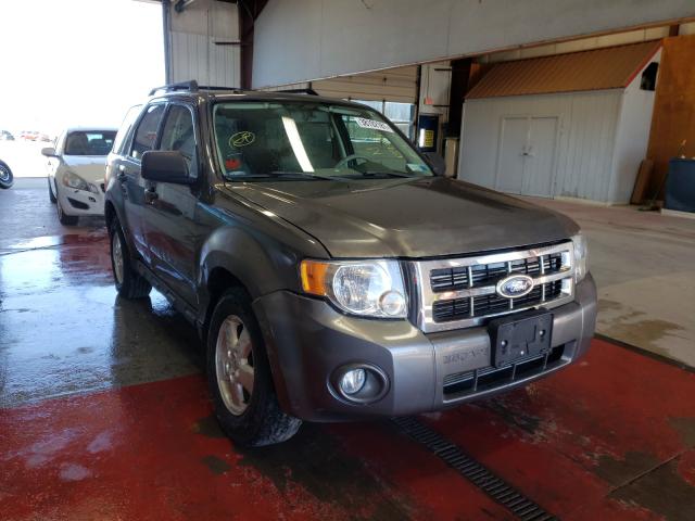 Ford Escape xlt (2010)