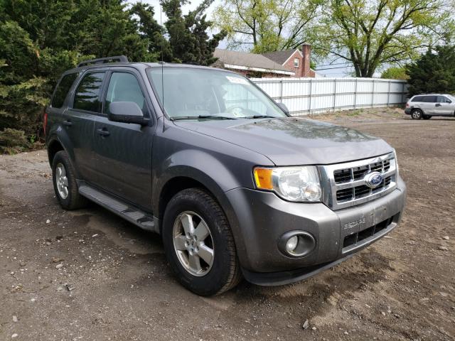 Ford Escape xlt (2010)