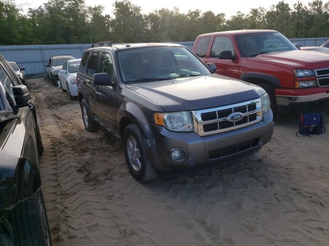 Ford Escape xlt (2010)