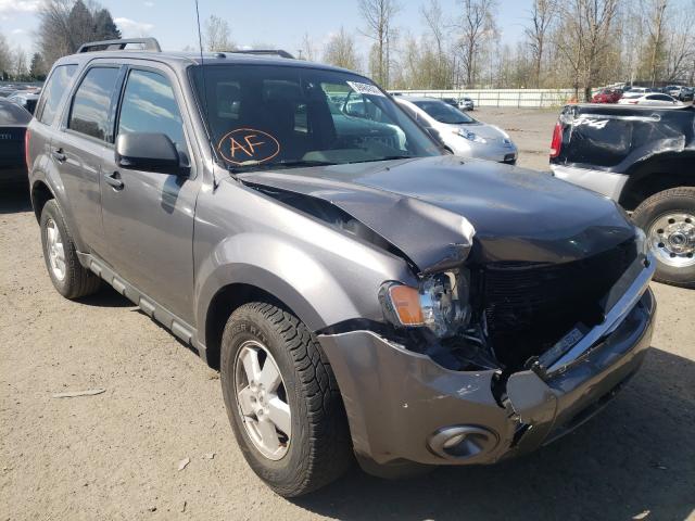 Ford Escape xlt (2011)