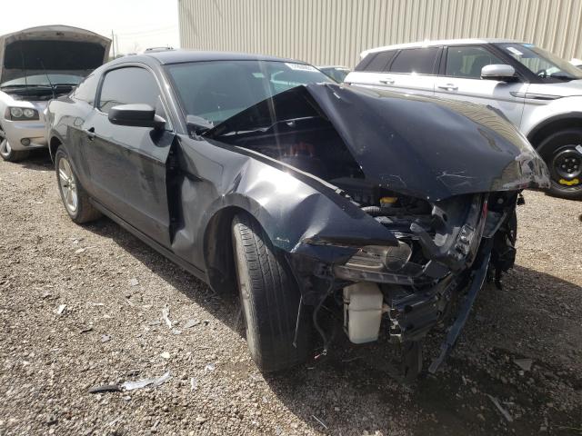 Ford Mustang (2013)
