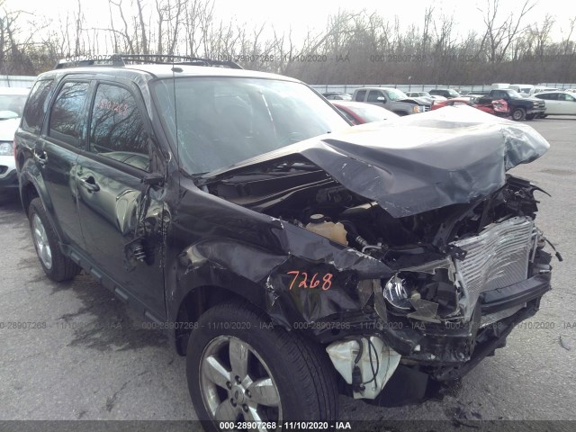 Ford Escape (2010)