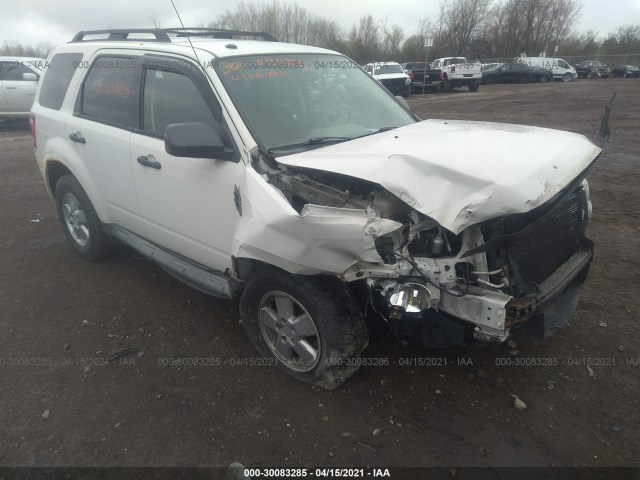 Ford Escape (2010)