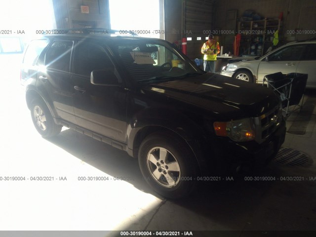 Ford Escape (2010)