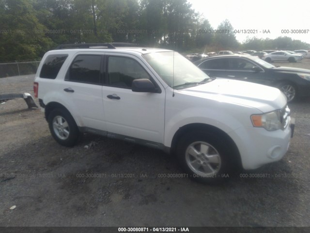 Ford Escape (2011)
