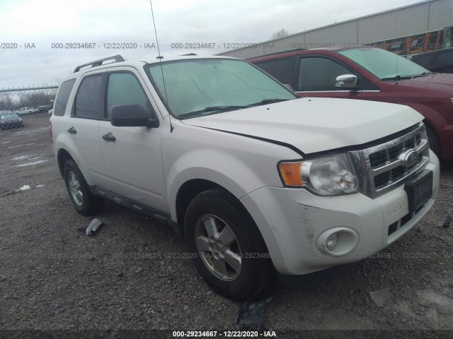 Ford Escape (2011)