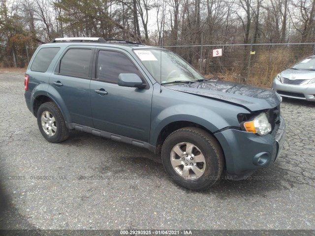 Ford Escape (2011)