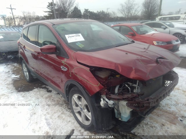 Ford Escape (2014)