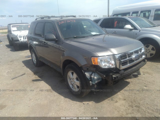 Ford Escape (2010)