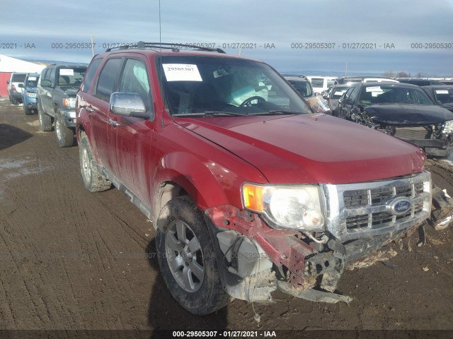 Ford Escape (2010)