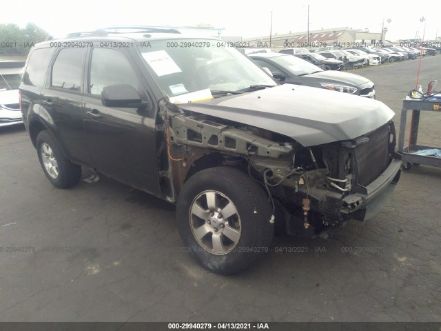 Ford Escape (2011)