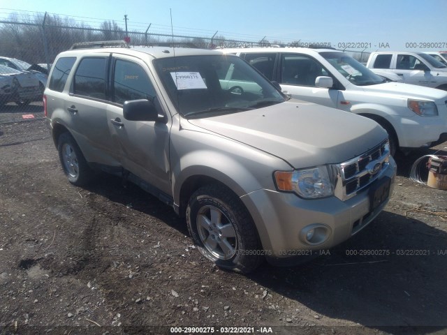 Ford Escape (2011)