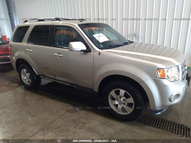 Ford Escape (2012)