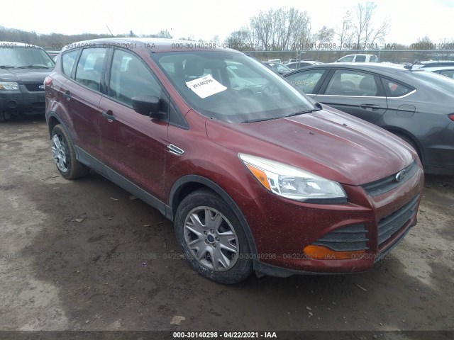 Ford Escape (2014)