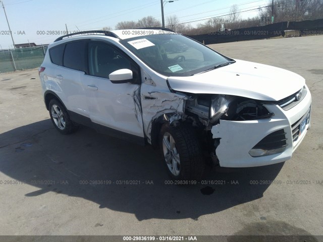 Ford Escape (2014)