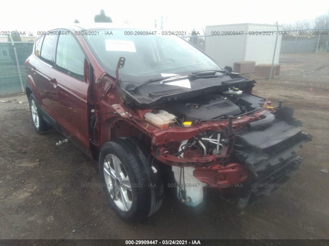 Ford Escape (2015)
