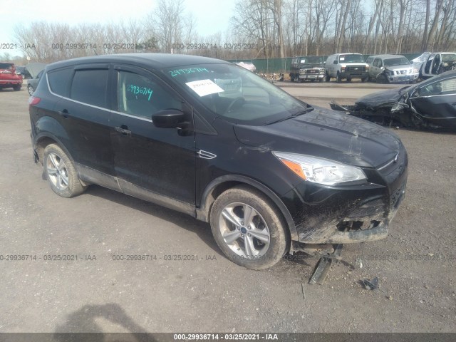 Ford Escape (2015)