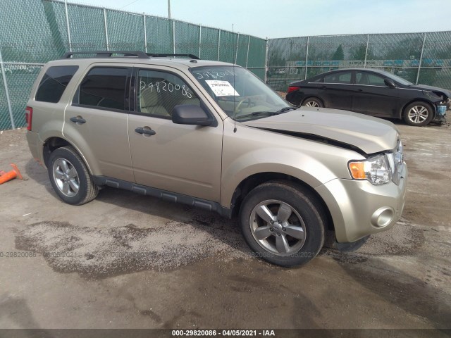 Ford Escape (2010)