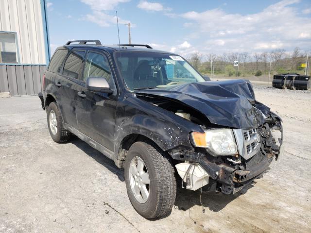 Ford Escape xlt (2010)