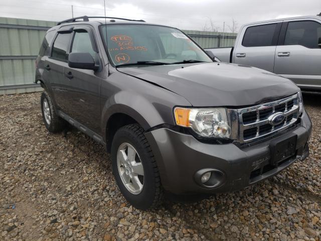 Ford Escape xlt (2010)