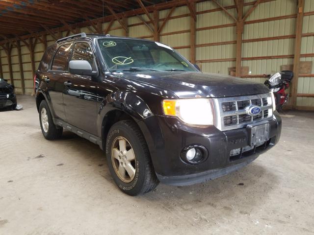 Ford Escape xlt (2010)