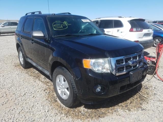 Ford Escape xlt (2010)