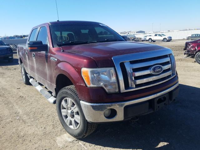Ford F-150 (2010)