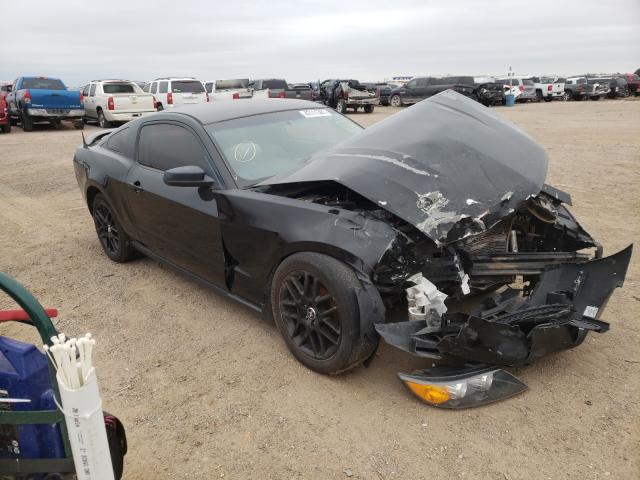 Ford Mustang (2010)