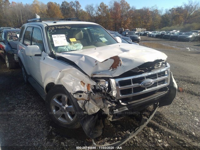 Ford Escape (2011)
