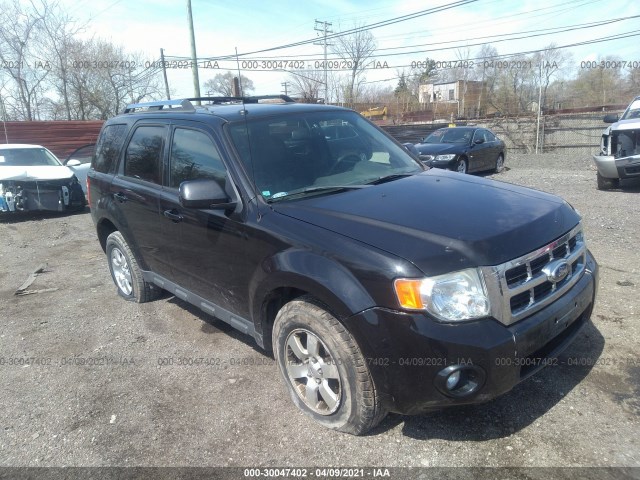 Ford Escape (2011)