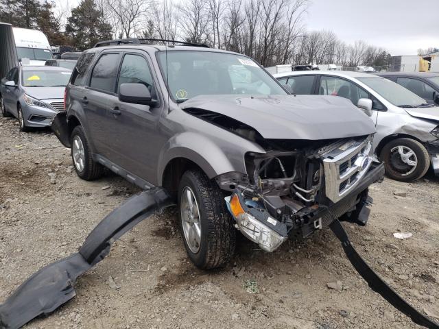 Ford Escape xlt (2011)