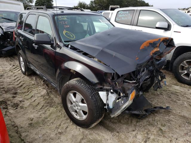 Ford Escape xlt (2011)