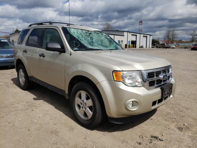 Ford Escape xlt (2011)