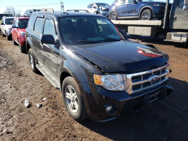 Ford Escape hyb (2012)
