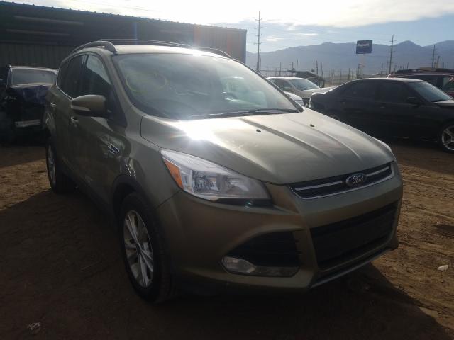 Ford Escape sel (2013)