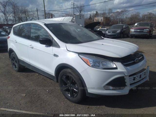 Ford Escape (2014)