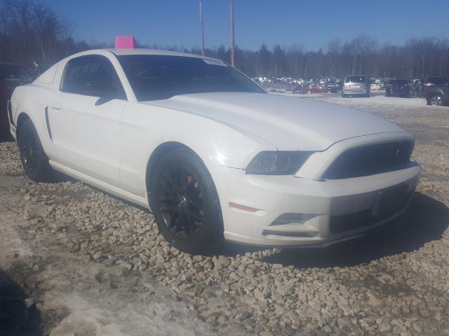 Ford Mustang (2014)