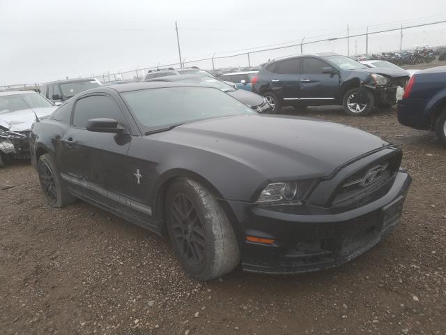 Ford Mustang (2014)