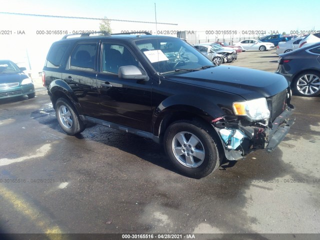 Ford Escape (2010)
